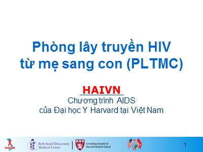 Bài giảng Học phần 2 - Bài 15: Phòng lây truyền HIV từ mẹ sang con (PLTMC)