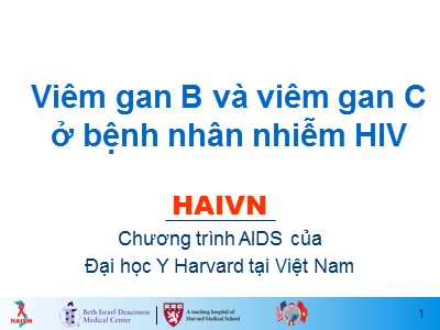 Bài giảng Học phần 2 - Bài 16: Viêm gan B và viêm gan C ở bệnh nhân nhiễm HIV
