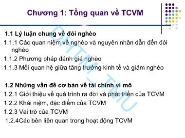 Bài giảng Tài chính vi mô - Chương 1: Tổng quan về tài chính vi mô