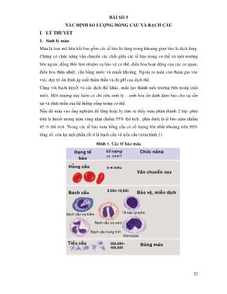Bài giảng thực hành Sinh lý động thực vật (Phần 2)