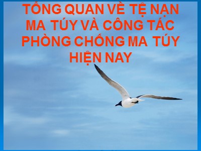 Bài giảng Tuyên truyền phòng chống ma túy