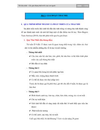 Các giai đoạn phát triển của con người