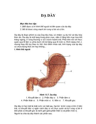Giáo trình Giải phẫu học (Phần 2)