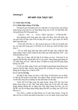 Giáo trình môn Sinh lý học thực vật (Phần 2)