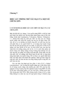 Giáo trình Tuyến trùng ký sinh gây bệnh côn trùng ở Việt Nam (Phần 2)