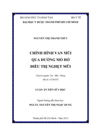 Luận án Chỉnh hình van mũi qua đường mổ hở điều trị nghẹt mũi