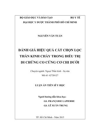 Luận án Đánh giá hiệu quả cắt chọn lọc thần kinh chày trong điều trị di chứng co cứng cơ chi dưới
