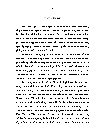 Luận văn Nghiên cứu đặc điểm lâm sàng, cận lâm sàng và căn nguyên vi rút gây bệnh Tay Chân Miệng tại Việt Nam