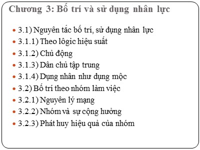 Bài giảng Quản trị nguồn nhân lực - Chương 3: Bố trí và sử dụng nhân lực