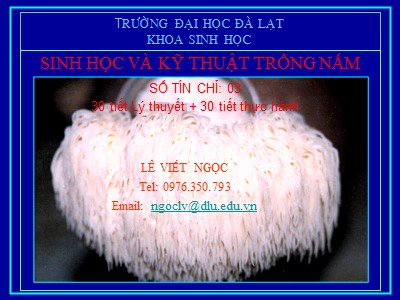 Bài giảng Sinh học và kỹ thuật trồng nấm - Chương 1: Đặc điểm chung của nấm - Lê Viết Ngọc