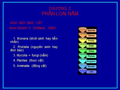 Bài giảng Sinh học và kỹ thuật trồng nấm - Chương 2: Phân loại nấm - Lê Viết Ngọc