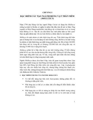 Giáo trình Động vật thân mềm